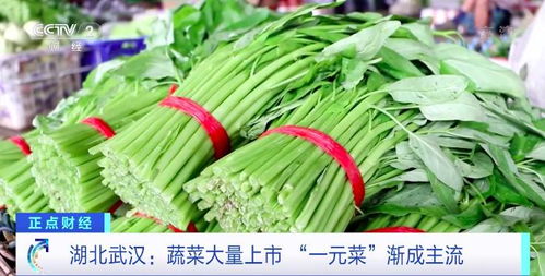 一元菜占六成，这里菜价降了，未来还会更低 农副产品市场透视