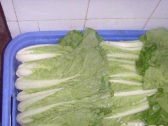 广州生活配送新选择 一站式农副产品与饭堂服务，让食材新鲜直达您的餐桌