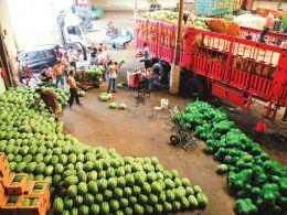 探访太原河西农副产品批发市场 城市“菜篮子”的活力与日常