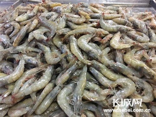唐山农副产品市场年味渐浓 供销两旺备大年，传统味道迎新春